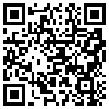 QR Code Handyversion