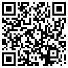 QR Code Handyversion