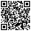 QR Code Handyversion