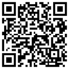 QR Code Handyversion