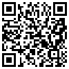 QR Code Handyversion