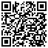 QR Code Handyversion