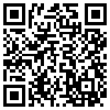 QR Code Handyversion