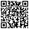 QR Code Handyversion