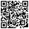 QR Code Handyversion