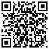 QR Code Handyversion