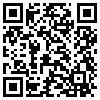 QR Code Handyversion