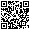 QR Code Handyversion