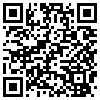 QR Code Handyversion