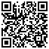 QR Code Handyversion