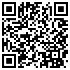 QR Code Handyversion