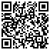 QR Code Handyversion