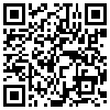 QR Code Handyversion