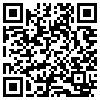 QR Code Handyversion