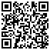 QR Code Handyversion