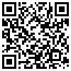 QR Code Handyversion