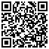 QR Code Handyversion