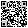 QR Code Handyversion