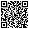 QR Code Handyversion