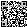 QR Code Handyversion