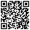 QR Code Handyversion