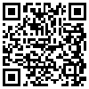 QR Code Handyversion