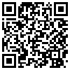 QR Code Handyversion