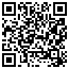 QR Code Handyversion