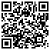 QR Code Handyversion