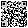 QR Code Handyversion