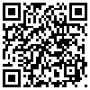 QR Code Handyversion