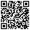 QR Code Handyversion