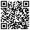 QR Code Handyversion