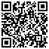 QR Code Handyversion