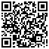 QR Code Handyversion