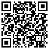 QR Code Handyversion