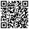 QR Code Handyversion