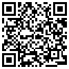 QR Code Handyversion