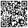 QR Code Handyversion