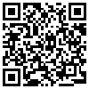 QR Code Handyversion