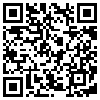 QR Code Handyversion