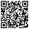 QR Code Handyversion