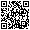 QR Code Handyversion