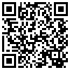 QR Code Handyversion