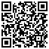 QR Code Handyversion