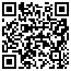 QR Code Handyversion