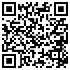 QR Code Handyversion