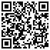 QR Code Handyversion