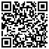 QR Code Handyversion