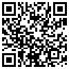 QR Code Handyversion